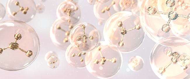 胶原蛋白生产线